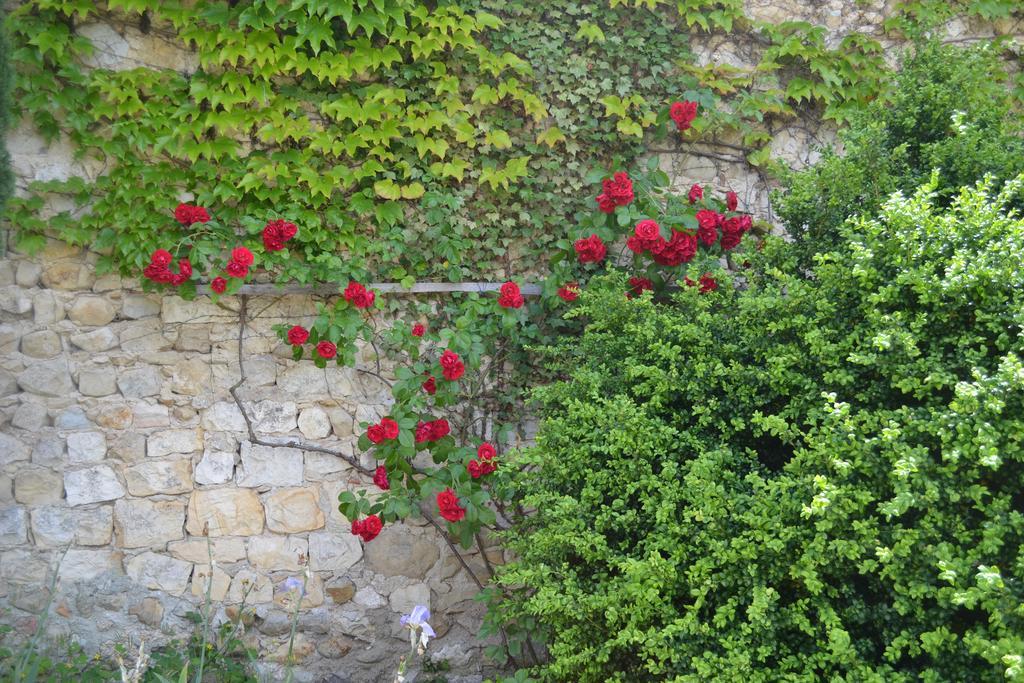 Maison D'Hotes Les Fougeres Mirmande Bagian luar foto