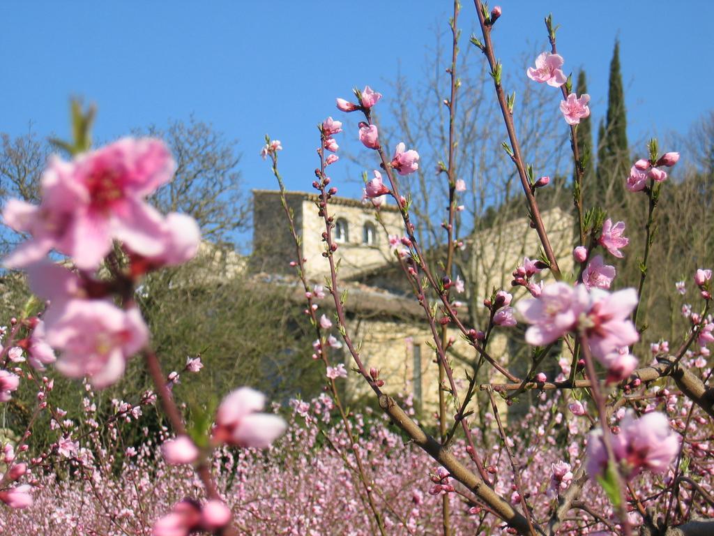 Maison D'Hotes Les Fougeres Mirmande Bagian luar foto